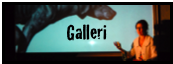 Galleri